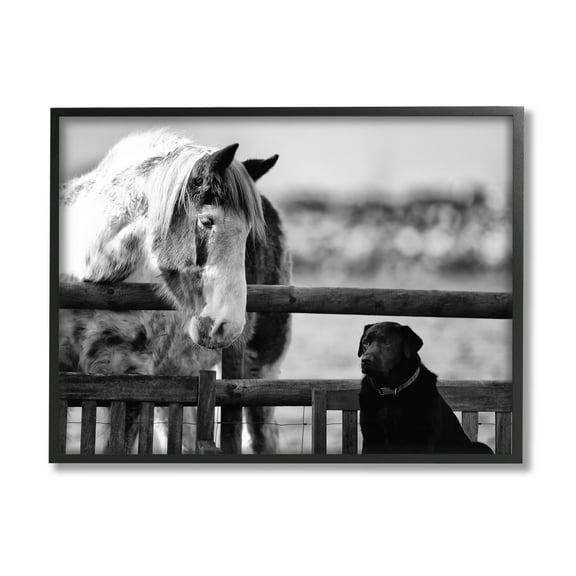 Stupell Industries Dog & Horse Farm Animal Friends Monochrome Photography Photograph Black Framed Art Print Wall Art, Design by James Dobson