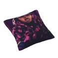 thumbnail image 2 of Fundas de almohada de terciopelo Chris Brown, fundas de almohada decorativas suaves y acogedoras con cremallera oculta para dormitorio, sofá, sillón, funda de almohada de terciopelo, 2 of 8
