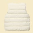 thumbnail image 4 of JAJAHO Baby Boys Girls Puffer Vest Toddler Winter Lightweight Sleeveless Button Up Quilted Jacket 6M-6Y, 4 of 5