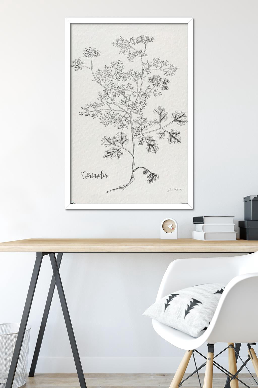 Jean Plout - Botanical Studies on Paper Coriander Wall Poster, 22.375" x 34" Framed