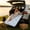 Bamboo Green, variant on Foldable Mattress Pad, 75" X 28" X 2" Thick Pearl Filling Sleeping Mat, Soft Breathable Camping Cot Mattress for Folding Bed, Car, Balcony, Tent