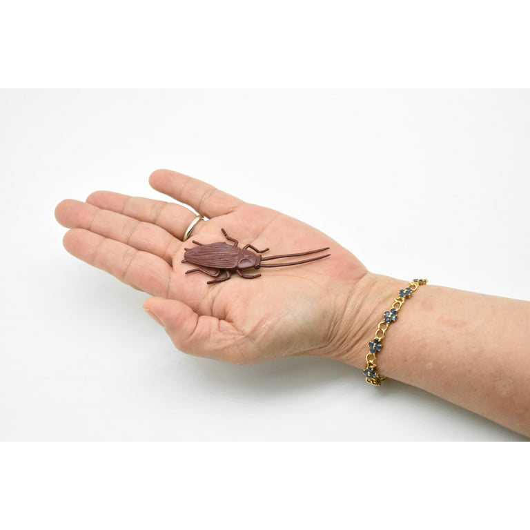 Cockroach, Rubber Toy Insect, Realistic Figure, Model, Replica, Kids Educational Gift, 3 inch F1652 B74