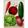 thumbnail image 3 of Unknown 15x18 Black Modern Framed Museum Art Print Titled - Antique Seed Packets XI, 3 of 5