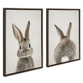 thumbnail image 4 of Kate and Laurel Sylvie Bunny Portrait on Linen and Bunny Tail on Linen Framed Canvas Wall Art Set by Amy Peterson Art Studio, 2 Piece 23x33 Brown, Cute Animal Art for Wall, 4 of 6