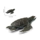 thumbnail image 4 of Adorno de juguete de animales marinos, modelos de acción de criaturas marinas para niños y niñas (tortugas marinas) Ndcxsfigh libre de BPA, 4 of 9