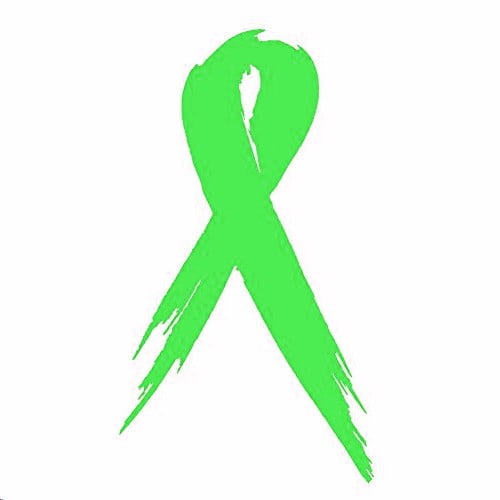 2x Two LYMPHOMA Cancer Awareness Ribbon Car Vinyl Decal Sticker 3" x 5