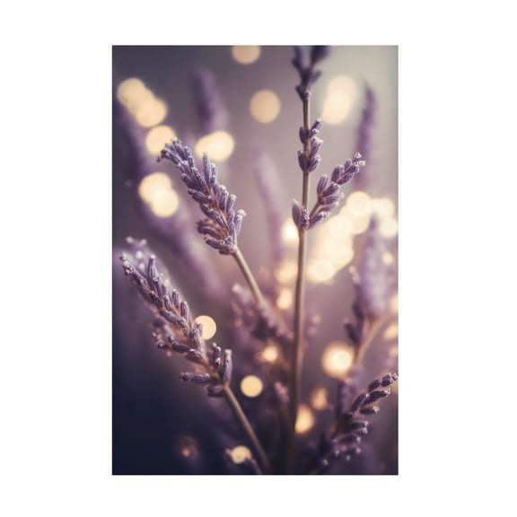 Canvas Wall Art - Treechild 'Lavender Detail' Wall Art for Living Room, Bedroom, or Office D?cor by Trademark Fine Art - 12 x 19 Inches
