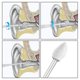 thumbnail image 5 of Herramienta de limpieza de oídos de 7 piezas, limpiador de oídos de acero inoxidable con cepillo de limpieza pequeño Sincero  Hogar, 5 of 5
