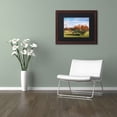 thumbnail image 3 of Trademark Fine Art 'The Old Rake' Canvas Art by Michael Blanchette Photography, Black Matte, Wood Frame, 3 of 3