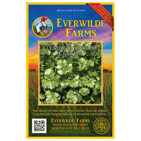 Bulk Herbs Spices - Everwilde Farms - 500 Leisure Coriander Cilantro Herb Seeds - Gold Vault Jumbo Bulk Seed Packet