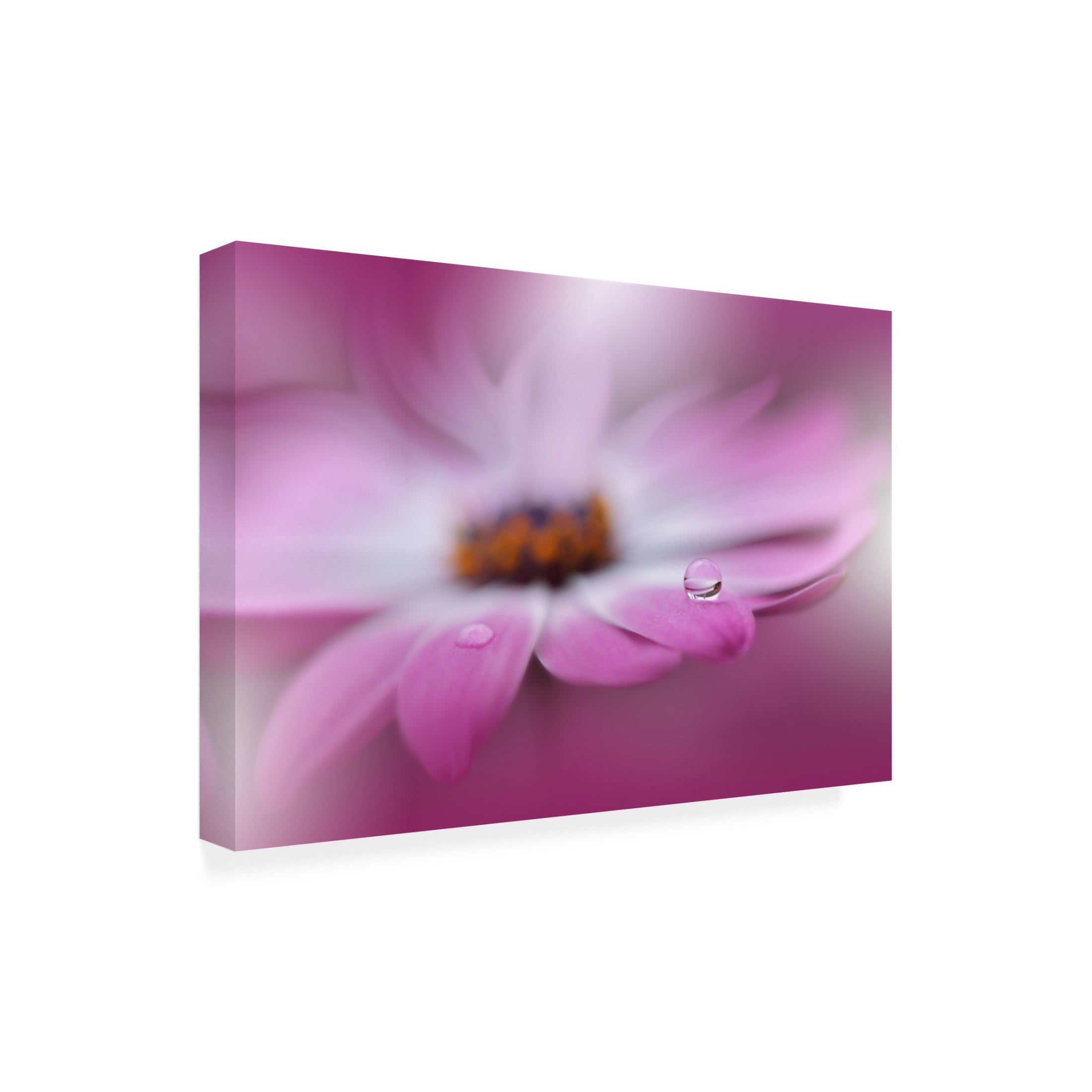 Trademark Fine Art Juliana Nan Celebration of Life Canvas Wall Art