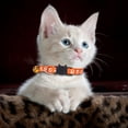 thumbnail image 3 of Collier pour Chat Imprimé, Collier à Dégagement Rapide, Tour de Cou en Nylon Tissé Coloré pour, 3 of 4