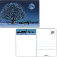 thumbnail image 4 of Stonehouse Collection Snowy Forest Trees Assorted Christmas Postcards, 40 Count, 4 of 9