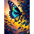 thumbnail image 1 of 5D DIY Taladro Puesta Mariposa Kit Del 30x40cm, 1 of 9