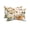 Beige, variant on Pack of 2 Outdoor Lumbar Pillow Covers 11x16 Inch, Thanksgiving Fall Waterproof Throw Pillow Covers Set, Maple Leaf Pumpkins Green Orange Indoor&Outdoor Decorative Cushion Cases for Patio Porch Car