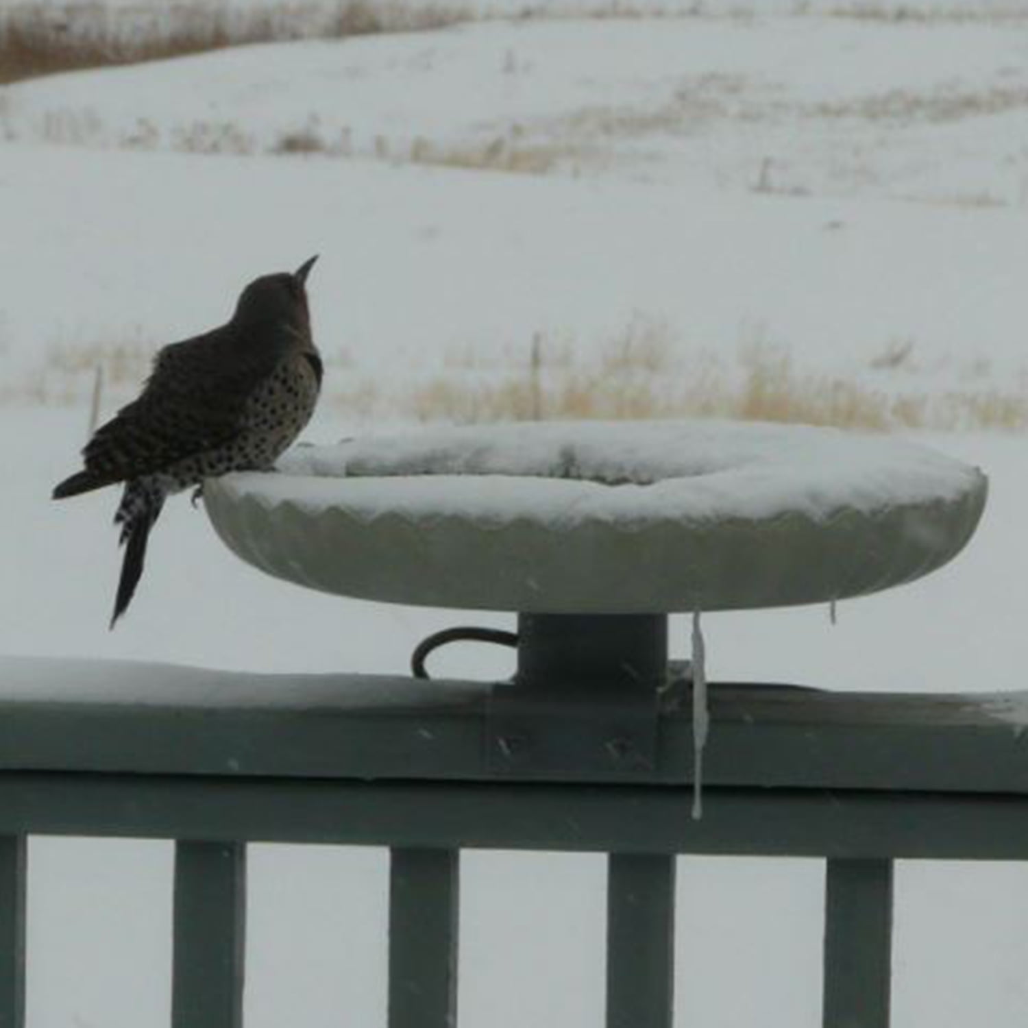 Farm Innovators Outdoor Heated Bird Bath, 120W Stone Birdbath w/ Deck Mount