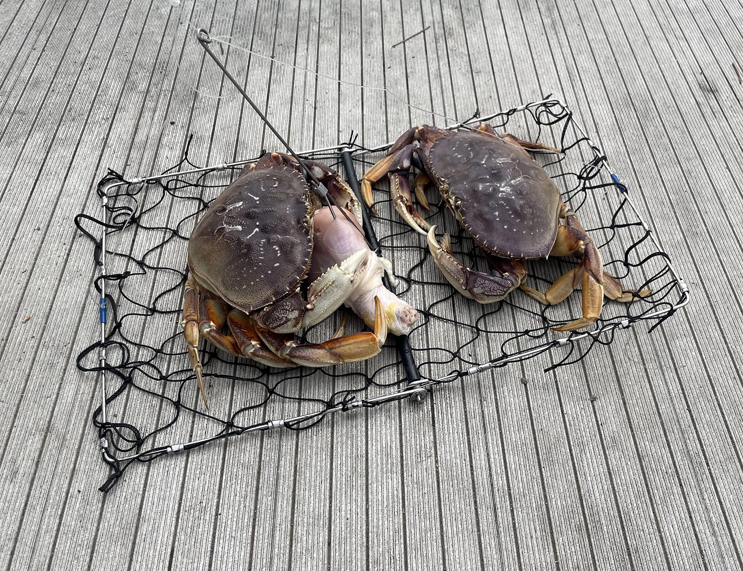AirFly Foldable Crabjaw Trap with Bait Clip - Castable Crab Hawk Potfor Dungeness and Blue Crabs in FL, OR, WA, TX, Designed in USA (3pcs Crab Trap + Gauge + Glove)