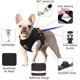 thumbnail image 2 of Arnés para gatos, correa para gatos, arnés para gatitos, arnés para gatos ligero y transpirable, ajustable con tiras reflectantes (M, negro) JM, 2 of 4