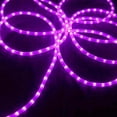 thumbnail image 2 of J. Hofert Co Commercial Grade Christmas Rope Light Set White Cord - Purple, 2 of 3