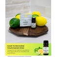 thumbnail image 6 of Essence Lemon-Lime Essential Oil Blend, 5 mL – Citrus Aromatherapy Oil, 6 of 8