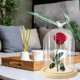 thumbnail image 4 of Clear Glass Display Cloche Dome With Bird Handle Wooden Base, Immortal Flower Cover Large Size Office Home Room Decoration 26-27s, 4 of 5