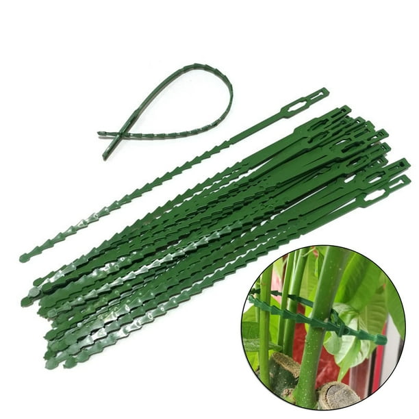 Paquete de 100 bridas de plástico verde para plantas de jardín | 13 cm y 23 cm | Cinta multiusos para sujetar vides y árboles | Cinta de fijación hortícola reutilizable y duradera para plantas de