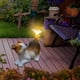 thumbnail image 4 of Adorno solar de resina para cachorro, para exteriores, jardín, patio, balcón, decoración, luz solar para jardinería, 4 of 9