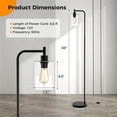 thumbnail image 3 of Costway Industrial Floor Lamp with Hanging Glass Lampshade and Foot Switch Modern, 3 of 10