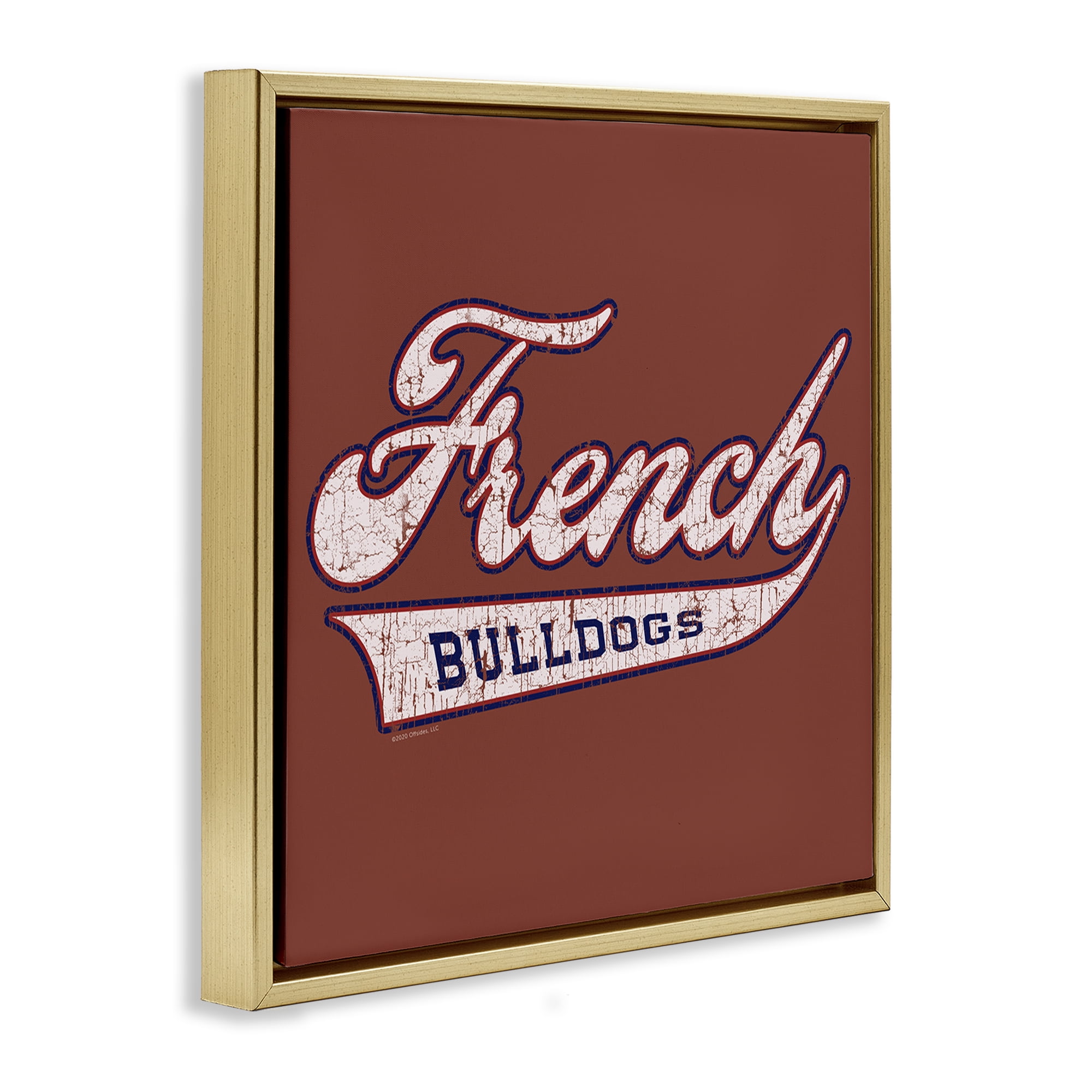 Stupell Industries French Bulldog Varsity Novelty & Humor Painting Gold Floater Framed Canvas Art Print Wall Art, 18 x 18