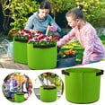 thumbnail image 1 of Hxlamzoo Colorful Plant Grow Bags Heavy Duty Thickened Nonwoven Fabric Pots with Handles Garden Planting Bags for Flowers Fruits Vegetables Indoor Outdoor Gardening Plant Lovers, 1 of 8