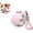 pink, variant on Rover and Oak 2-in-1 Portable Dog Water Bottle with Foldable Bowl (Pink) | Stainless Steel, Leak-Proof, 10oz Capacity, Insulated, Travel & Hiking
