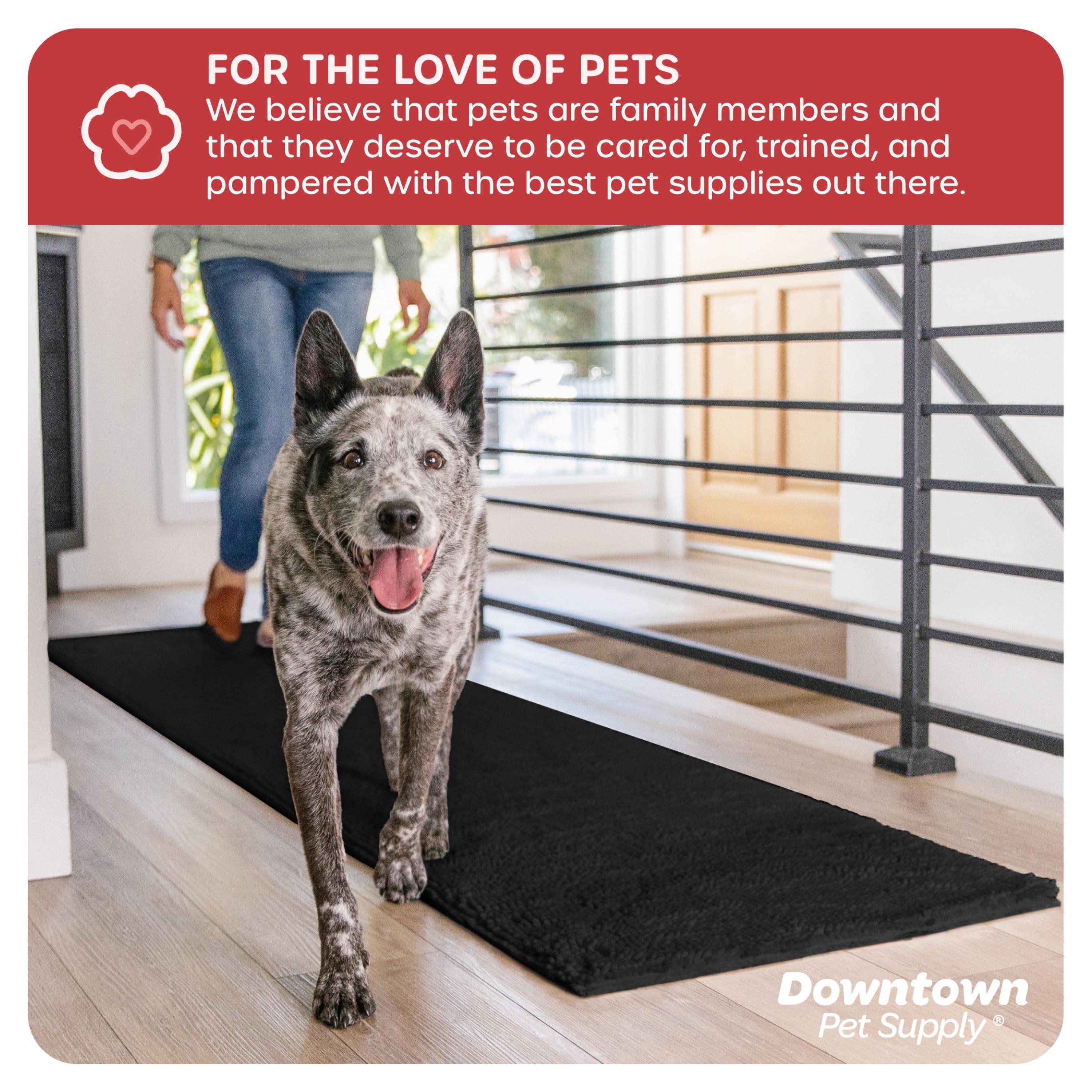Why the Dirty Dog Doormat is a Must-Have for Pet Owners – We Know Pets