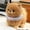 khaki, variant on 25cm Cute Pomeranian Plush Toy with Lace Collar, Soft Stuffed Puppy in White/Brown for Kids and Dog Lovers