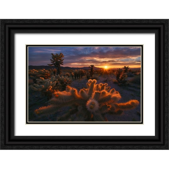CIA, INIGO 14x11 Black Ornate Wood Framed with Double Matting Museum Art Print Titled - Cholla Garden