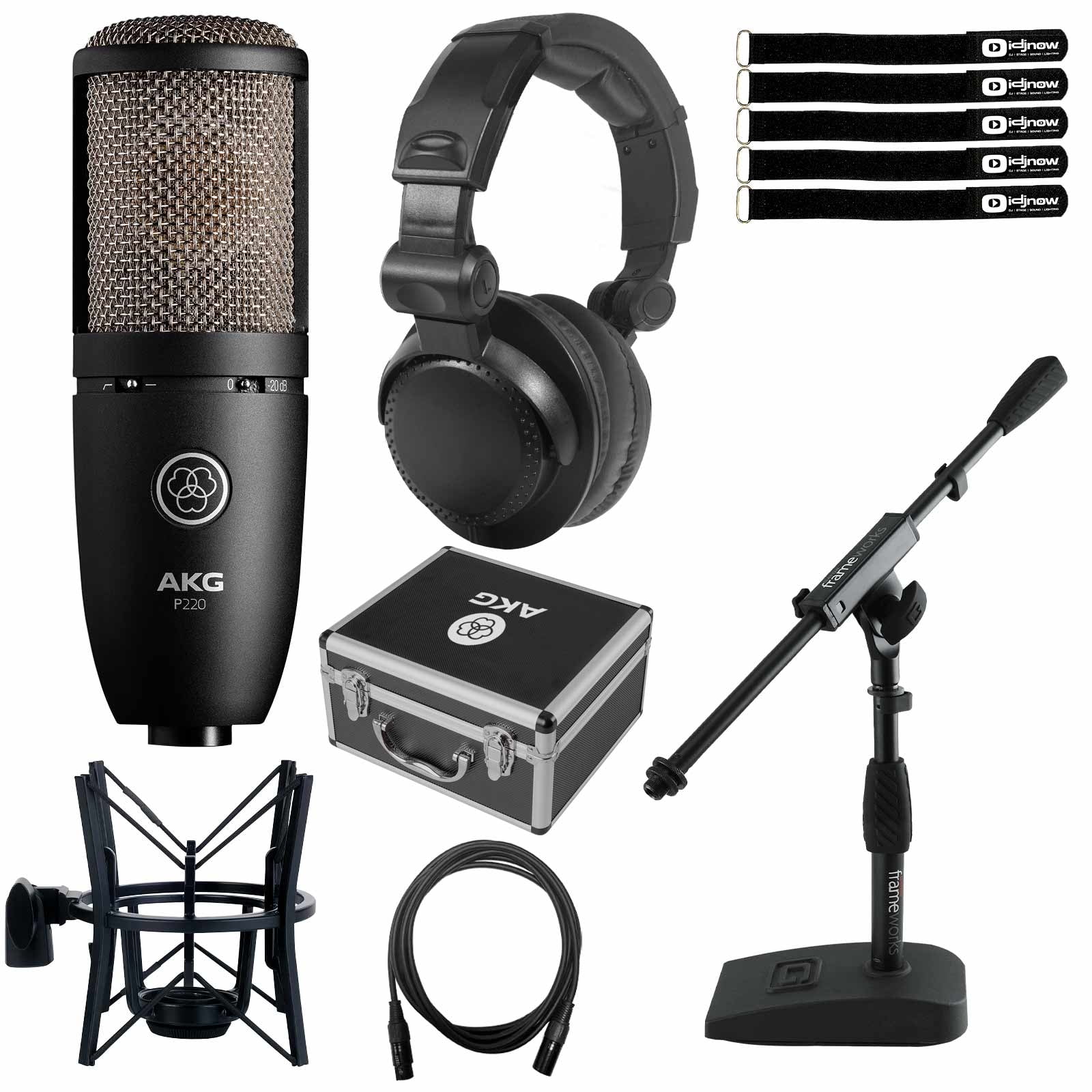 AKG P220 Perception 220 Large Diaphragm Condenser Microphone with