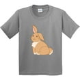 thumbnail image 3 of Inktastic Easter Cute Floppy Ear Brown Bunny Youth T-Shirt, 3 of 5