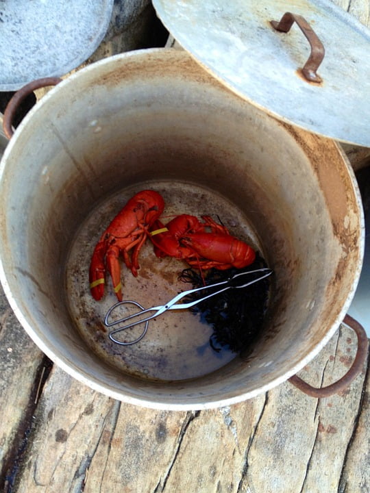Lobster Lobster Pot Maine Lobsters Pot Pots20 Inch By 30 Inch