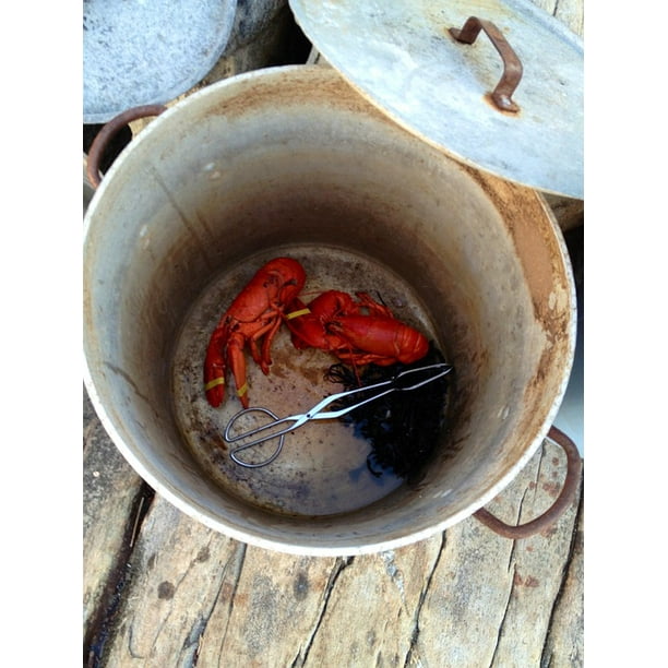 Lobster Lobster Pot Maine Lobsters Pot Pots20 Inch By 30 Inch