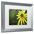 thumbnail image 2 of Trademark Fine Art "Black Eyed Susan" Canvas Art by Jennifer Redstreake White Matte, Silver Frame, 2 of 3