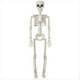 thumbnail image 2 of Decoración de Esqueleto de Halloween, Esqueleto Articulado de Cuerpo Completo con Articulaciones Móviles, Accesorio Espeluznante para Patio, Jardín, Césped, Patio, 2 of 5