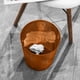 thumbnail image 4 of Cubo de Basura Vertical Translúcido de Gran Capacidad (12 Litros), 4 of 6