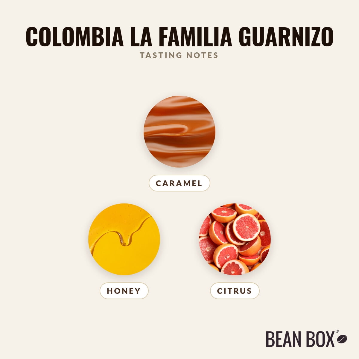 Colombia La Familia Guarnizo - Roasted by Joe Coffee Company - Whole Bean Coffee - 2lb Bag