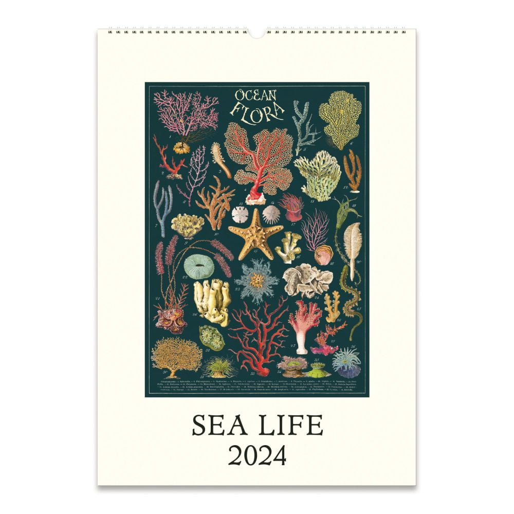 Cavallini Papers & Co., Sea Life 2025 Poster Wall Calendar