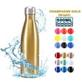thumbnail image 3 of Tignapoo 500ML Insulated Stainless Steel Water Bottle - Creative Cola Style Flask for Hot & Cold Drinks, Leak-Proof & Reusable Sports Hydration Bottle in Champagne Gold Finish, 3 of 6
