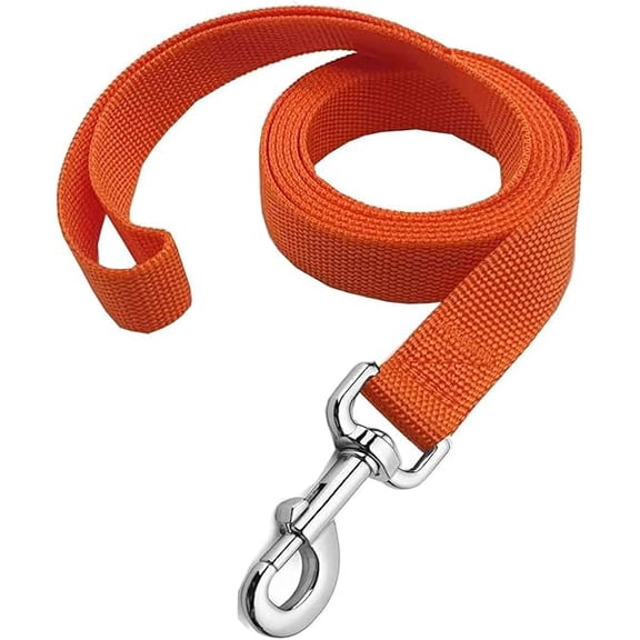 Eryueer Strong Nylon Dog Leash, 4FT/ 5 FT/ 6FT Dog Leashes for Small Medium Dogs