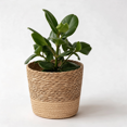 thumbnail image 6 of Lilixerw Woven Planter Basket, Brown Medium 6.88x4.72x5.51 inch Flower Pot Cover, Storage Basket for Indoor Outdoor Office Balcony Home Decoration, 6 of 9
