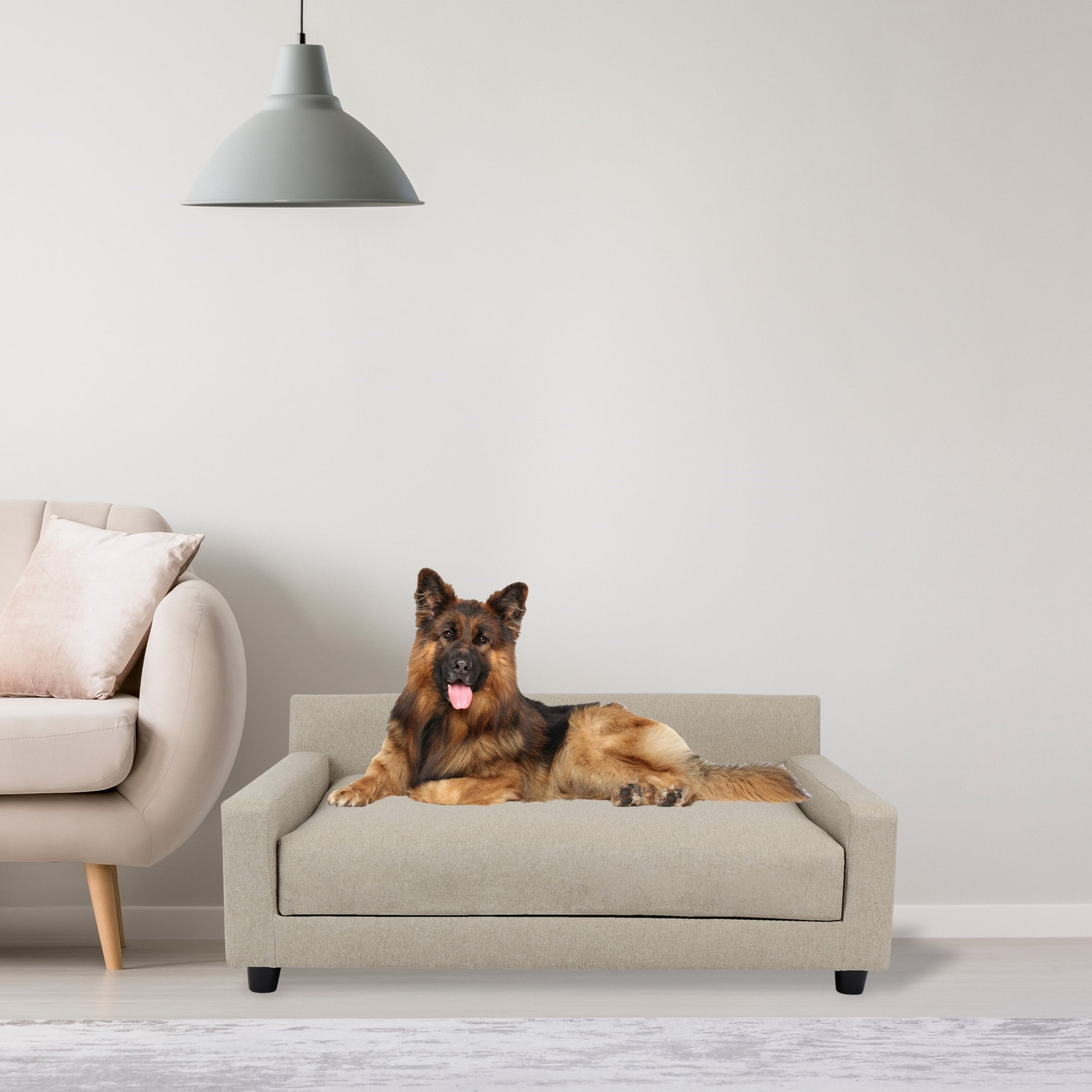 Club Nine Pets Metro Orthopedic Bed for Dogs, Medium, Oatmeal.