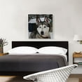 thumbnail image 2 of ARTCANVAS Siberian Husky Home decor Canvas Art Print - Size: 26" x 26" (0.75" Deep), 2 of 9