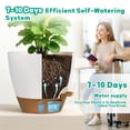 thumbnail image 4 of FIASON 5 Pack Plastic 6/8/9/10/12 Inch White with Brown Self Watering Plant Pots,Include Watering Lip,Drainage Holes & Removable Saucer for Indoor Outdoor Use, 4 of 11