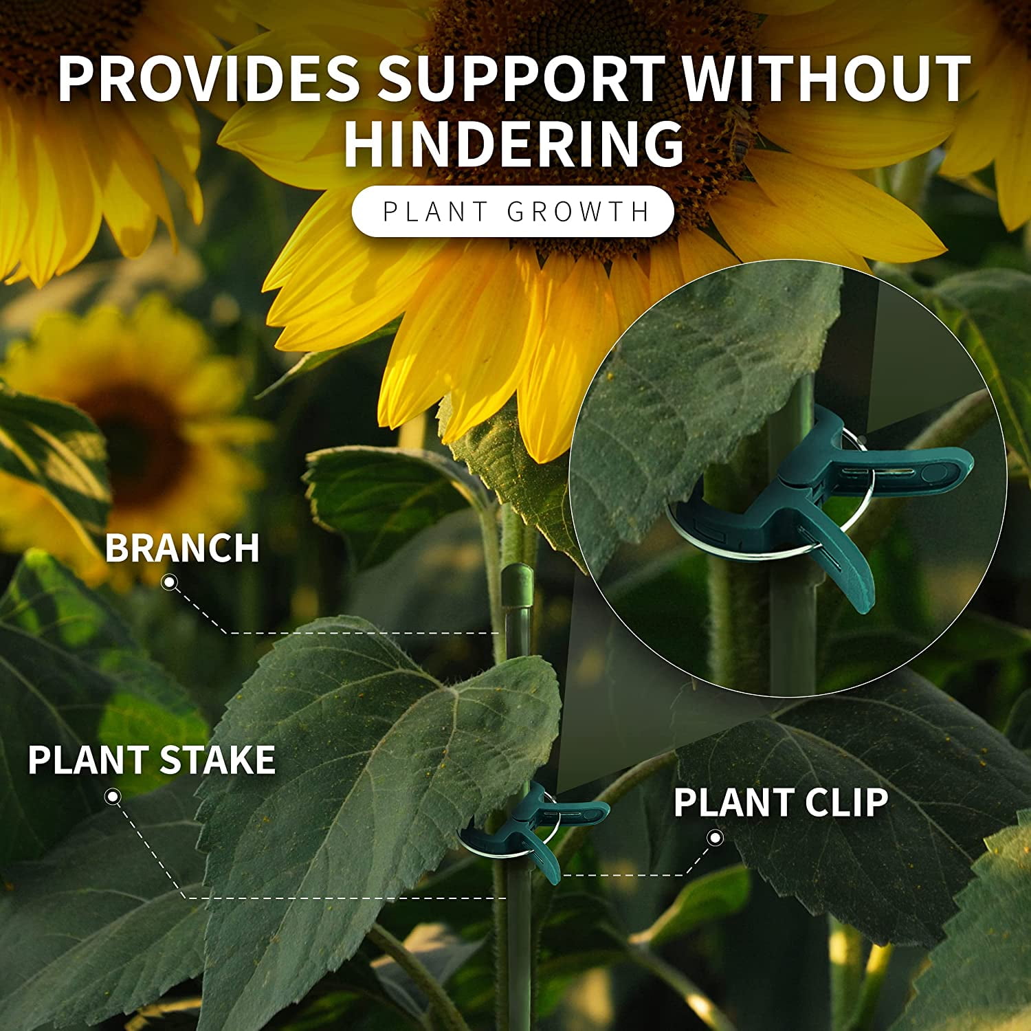 20 x Garden Plant Flower Lever Loop Gripper Clips Support Straighten Stems Vine